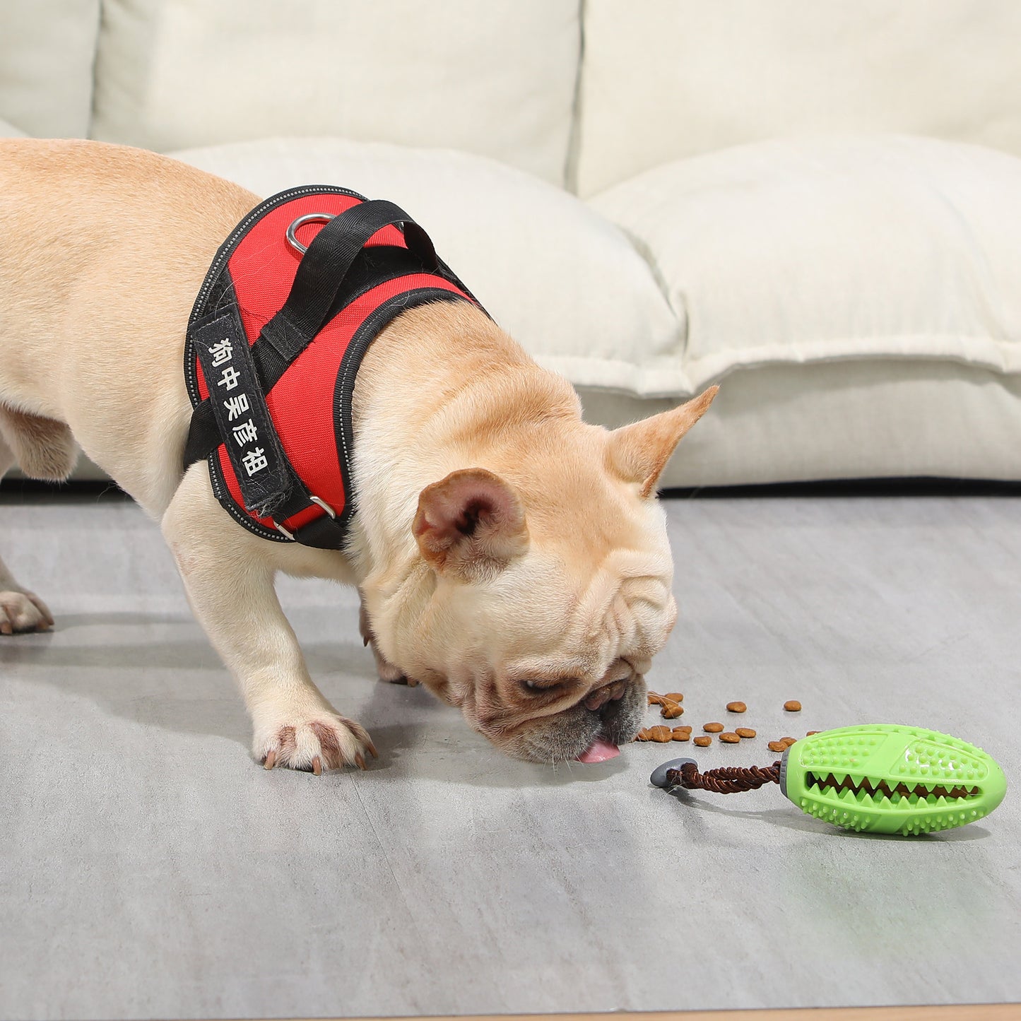 ThePetzStore™ Interactive Dental & Treat Dispensing Dog Toy