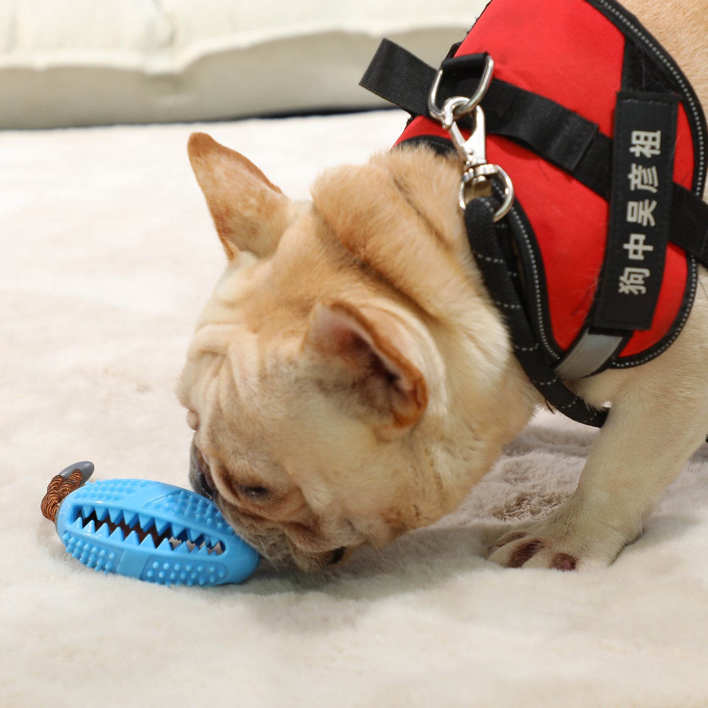 ThePetzStore™ Interactive Dental & Treat Dispensing Dog Toy
