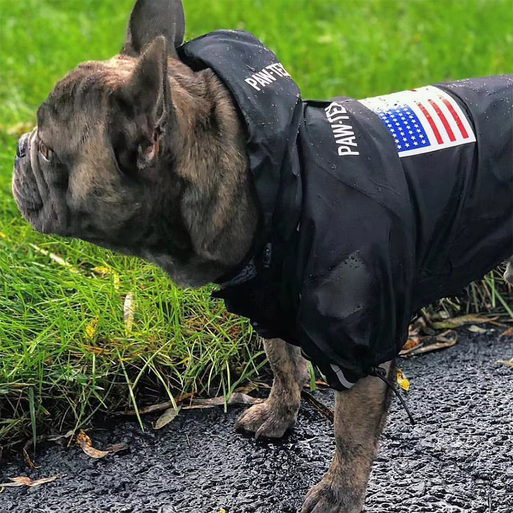 Alpine Waterproof Windbreaker Dog Jacket