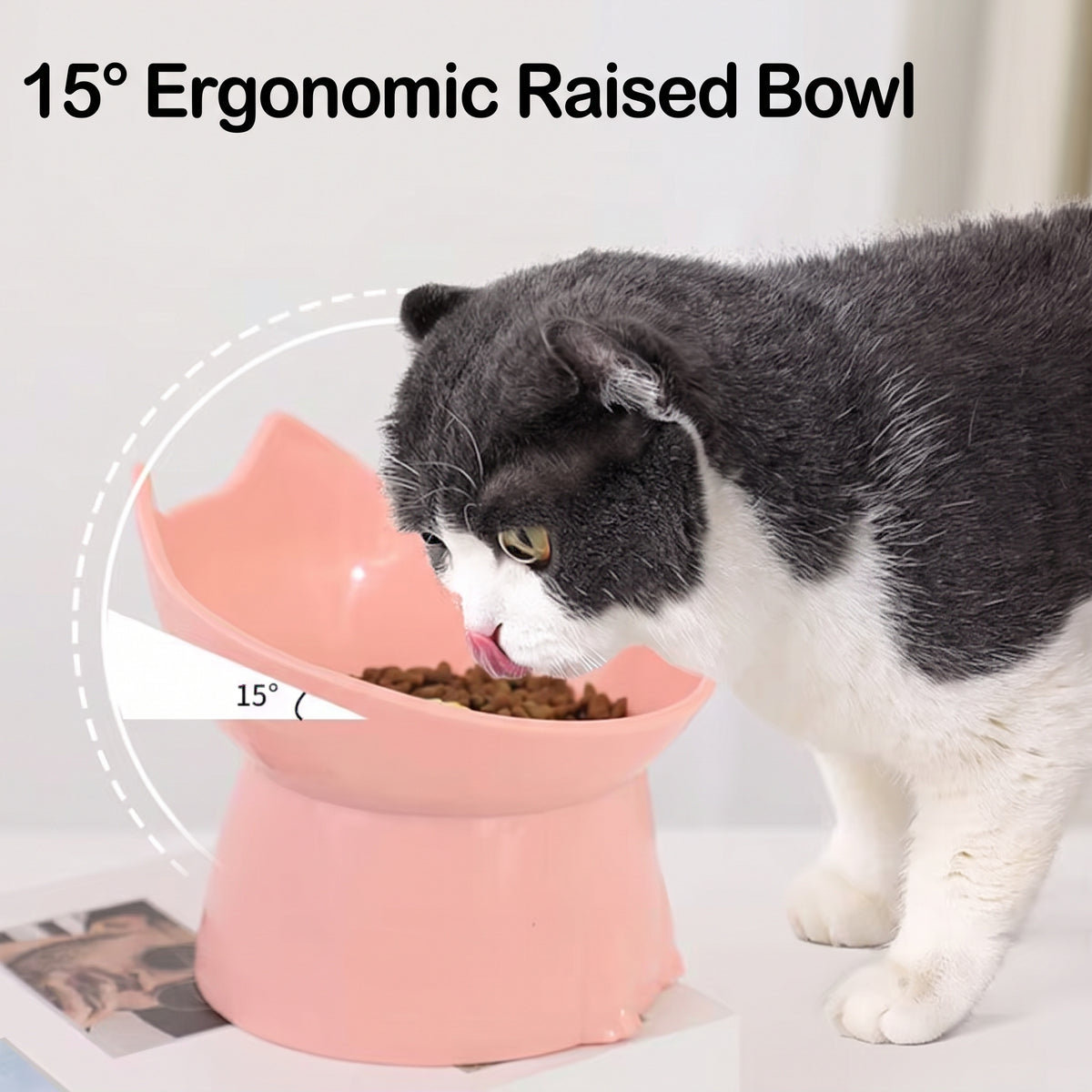 PurrTilt Ergonomic Elevated Pet Feeding Bowl