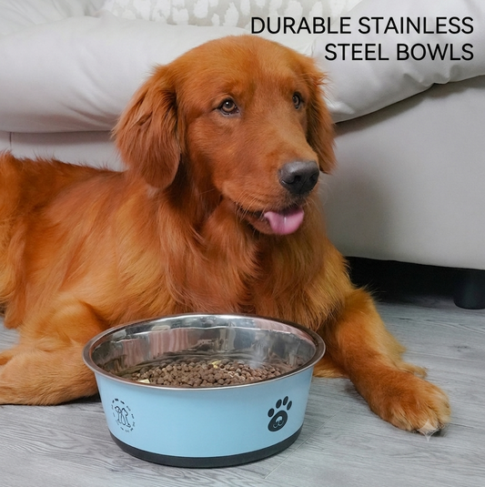 Non-Slip Stainless Steel Paw Dog Bowl