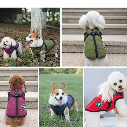 Waterproof Winter Dog Vest with Built-In Harness
