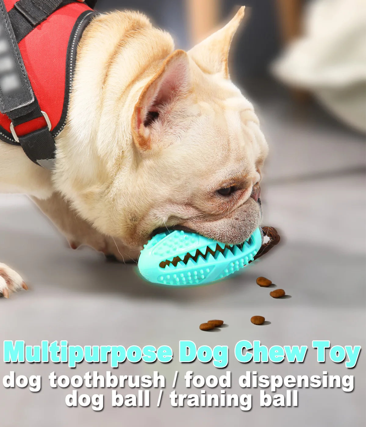 ThePetzStore™ Interactive Dental & Treat Dispensing Dog Toy
