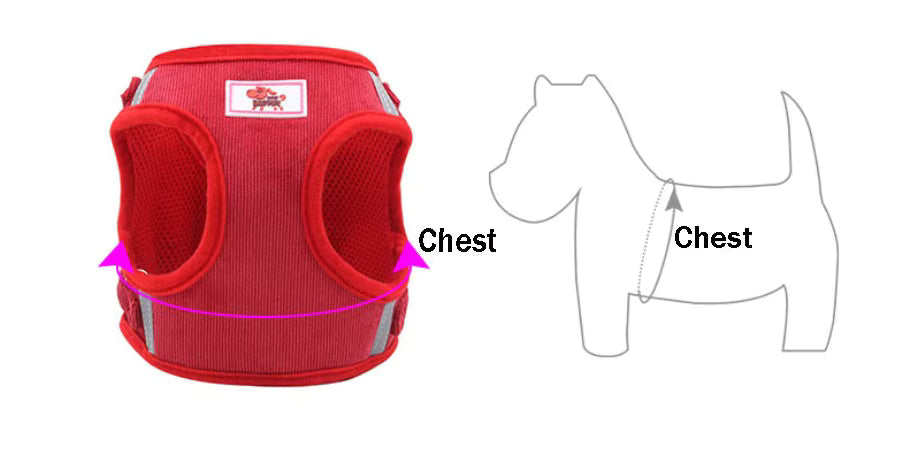 Soft Corduroy Breathable Harness & Leash Set