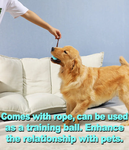 ThePetzStore™ Interactive Dental & Treat Dispensing Dog Toy