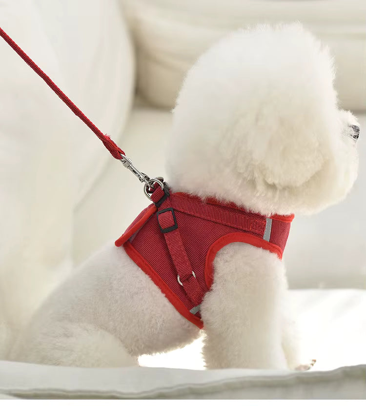 Soft Corduroy Breathable Harness & Leash Set