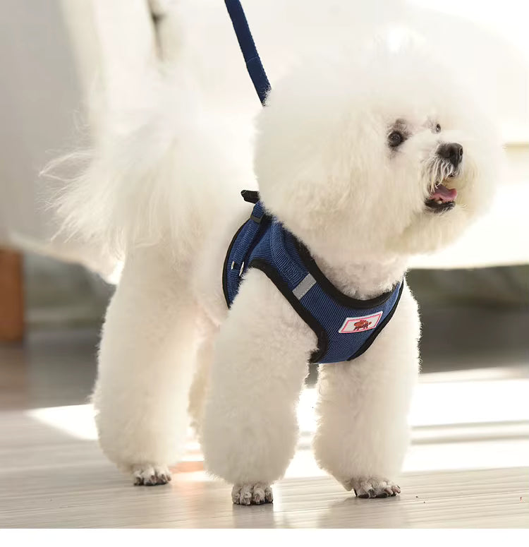Soft Corduroy Breathable Harness & Leash Set
