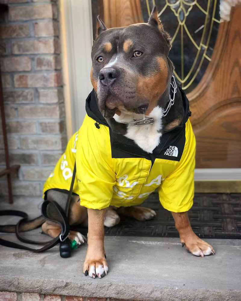 Alpine Waterproof Windbreaker Dog Jacket