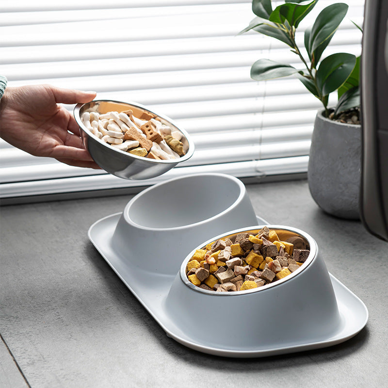 Double Stainless Steel Pet Bowl Set with Anti-Spill Tray