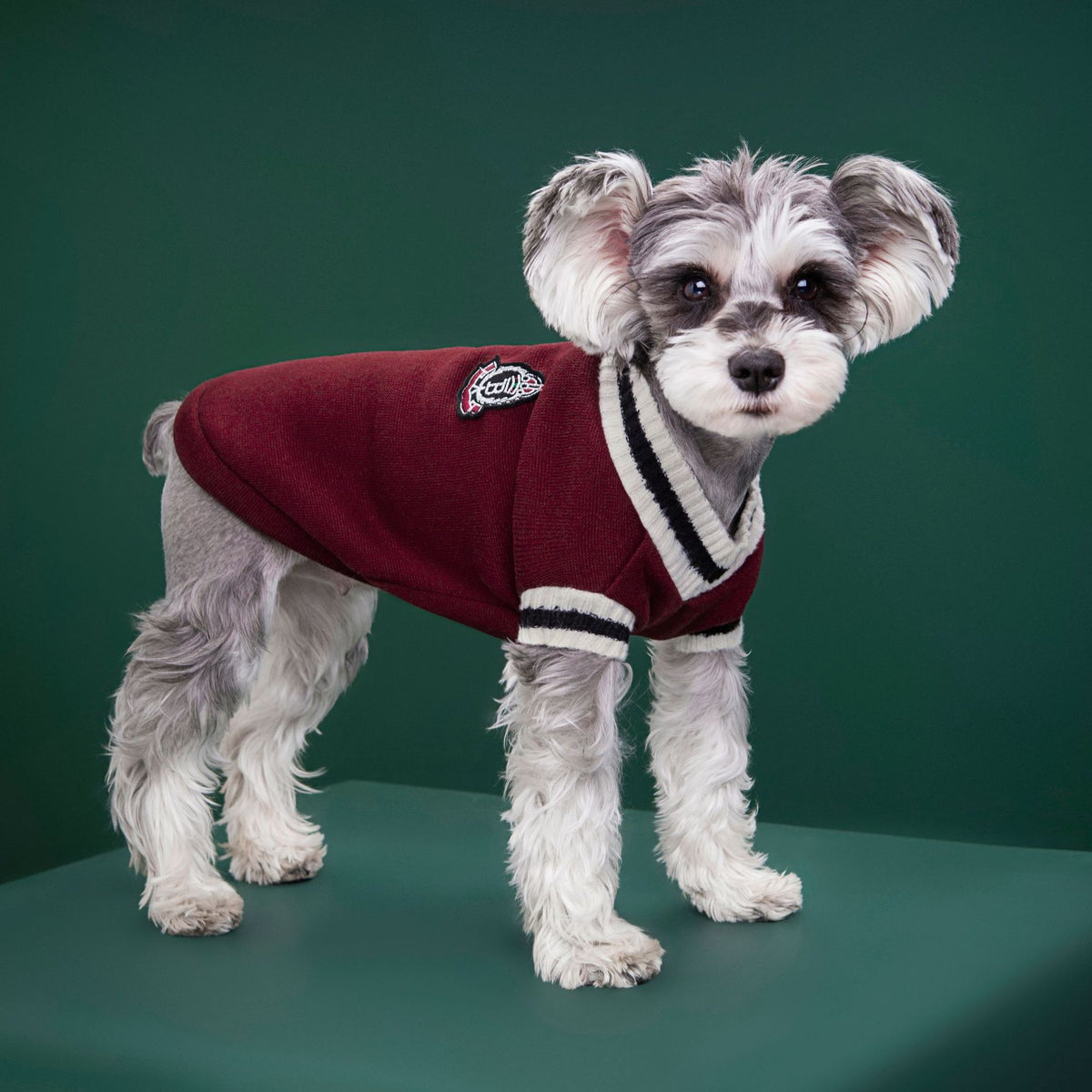 Royal Crest Knitted Dog Sweater