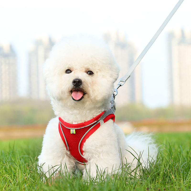 ThePetzStore™ Breathable Soft Mesh Harness & Leash Set