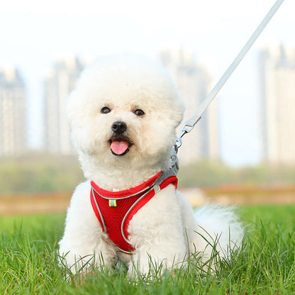 ThePetzStore™ Breathable Soft Mesh Harness & Leash Set