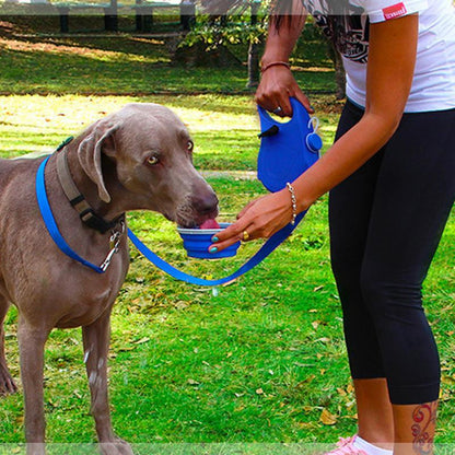 WalkMate 5-in-1 Multifunctional Dog Leash