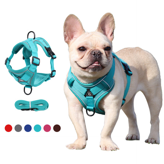 No-Pull Breathable Mesh Dog Harness & Leash Set