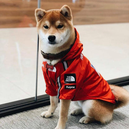 Alpine Waterproof Windbreaker Dog Jacket