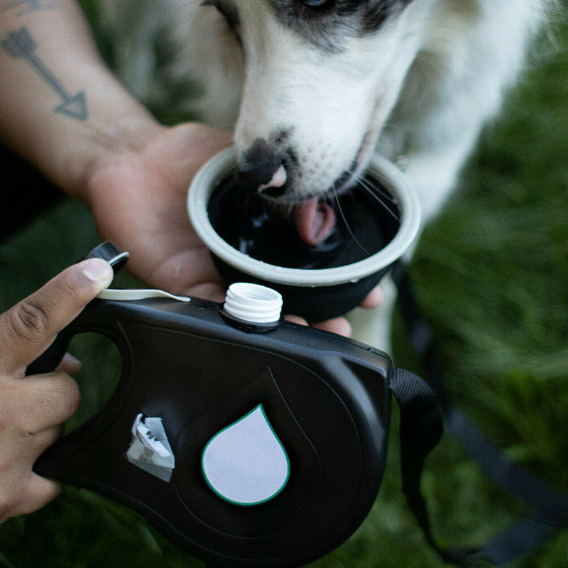 WalkMate 5-in-1 Multifunctional Dog Leash