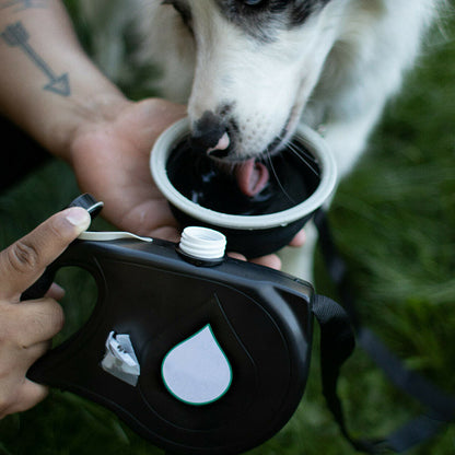 WalkMate 5-in-1 Multifunctional Dog Leash