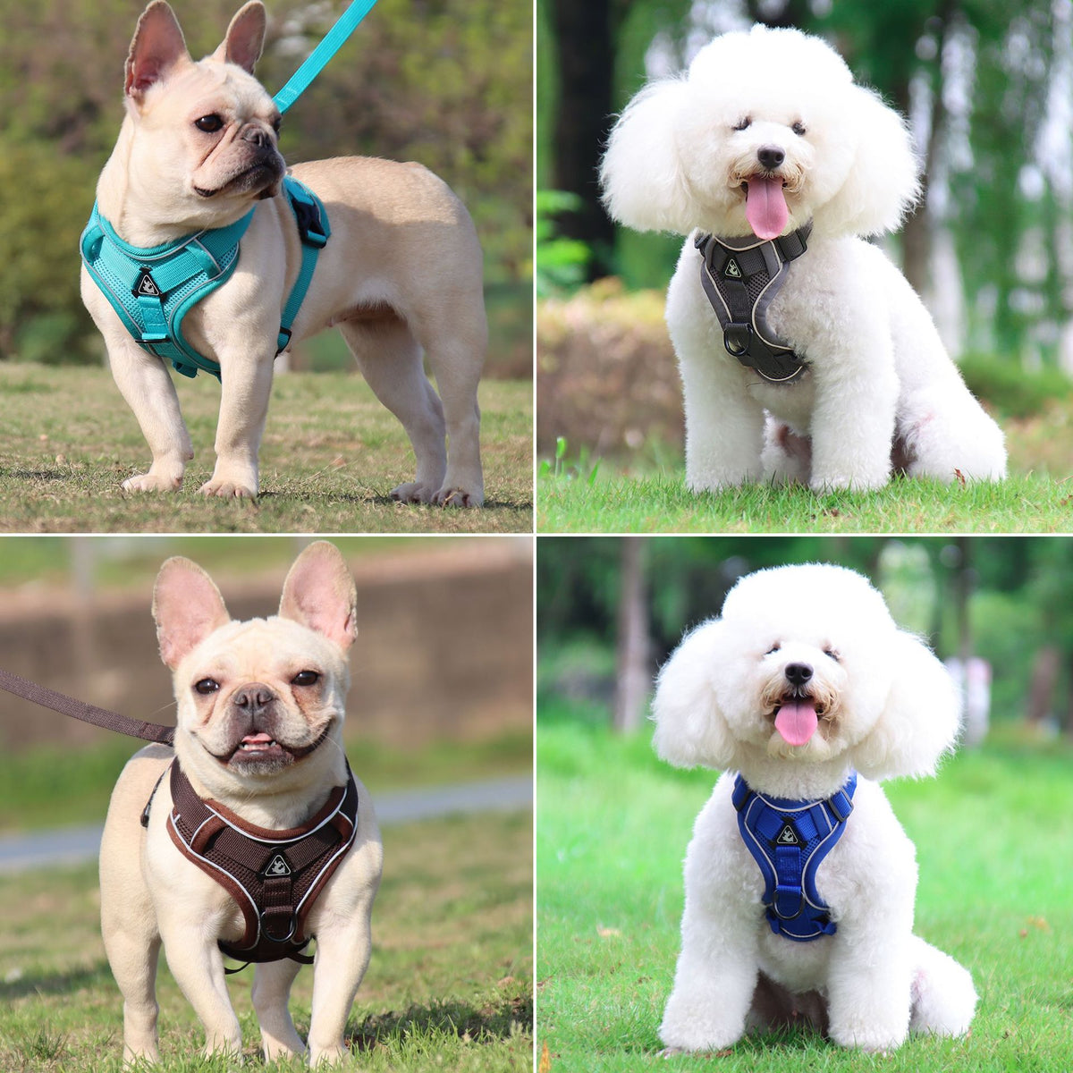 No-Pull Breathable Mesh Dog Harness & Leash Set