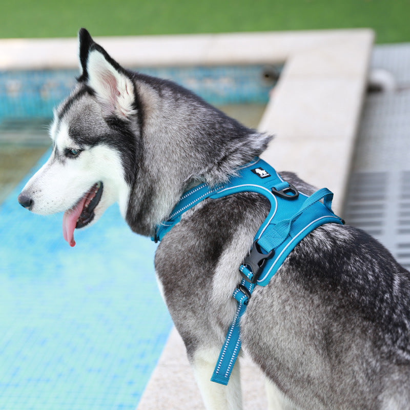 Truelove No-Pull Reflective Dog Harness – Breathable & Padded with Handle