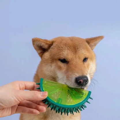 ThePetzStore™ Cooling Freezeable Fruit Dog Chew Toy
