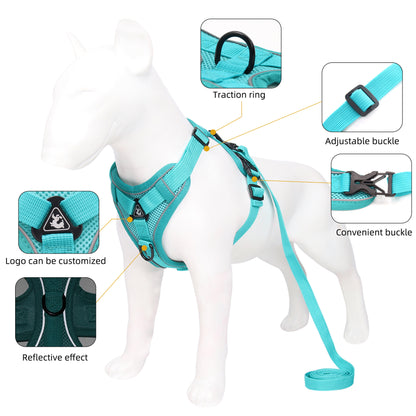 No-Pull Breathable Mesh Dog Harness & Leash Set