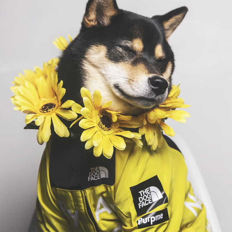 Alpine Waterproof Windbreaker Dog Jacket