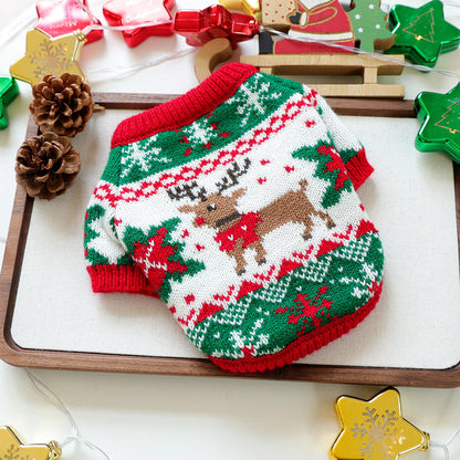 Spooky Pumpkin & Festive Knit Dog Sweater