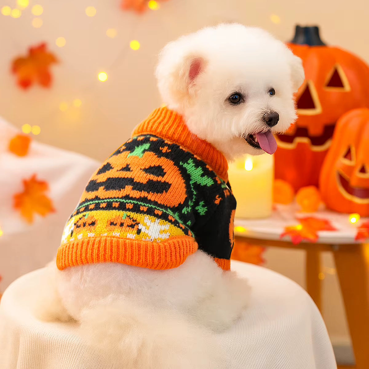 Spooky Pumpkin & Festive Knit Dog Sweater