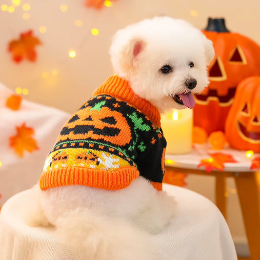 Spooky Pumpkin & Festive Knit Dog Sweater