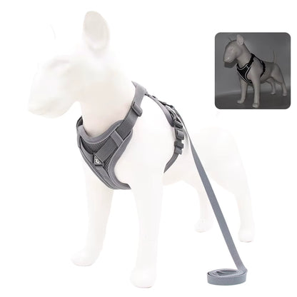 No-Pull Breathable Mesh Dog Harness & Leash Set