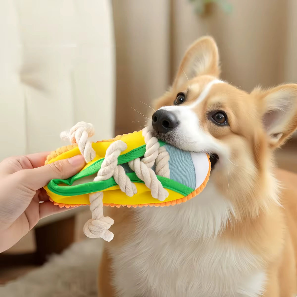 Interactive Sneaker Canvas & Rope Dog Chew Toy