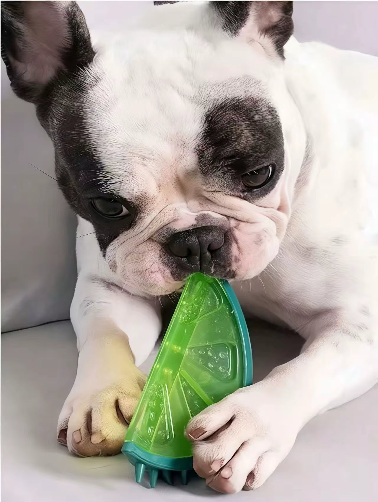 ThePetzStore™ Cooling Freezeable Fruit Dog Chew Toy
