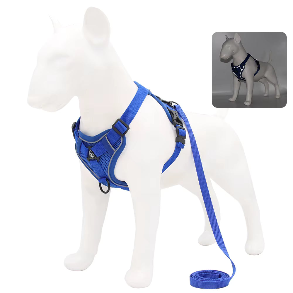 No-Pull Breathable Mesh Dog Harness & Leash Set