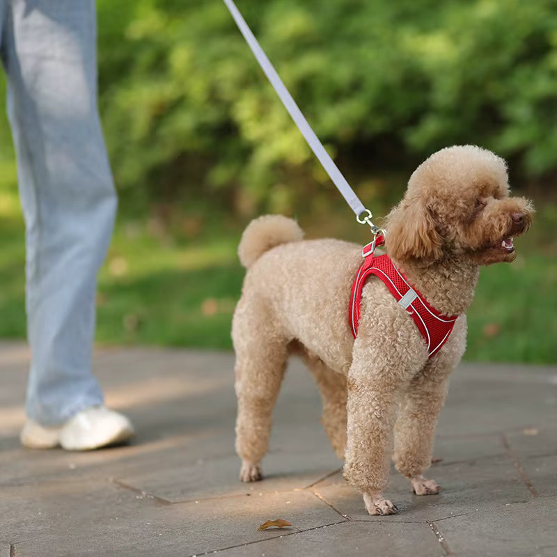 ThePetzStore™ Breathable Soft Mesh Harness & Leash Set