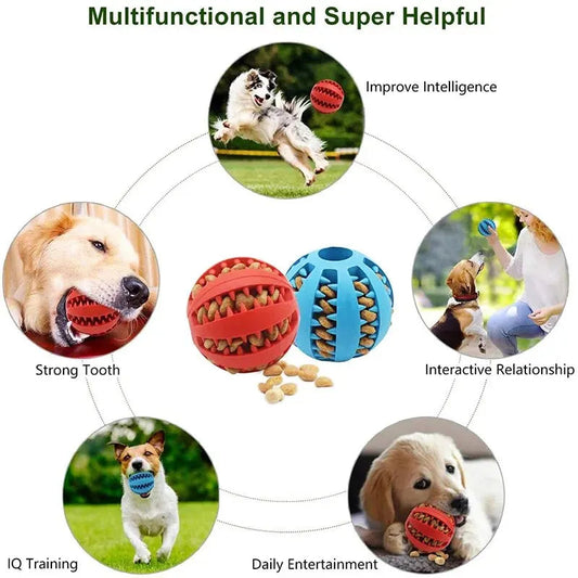 Dental-Treat Interactive Tooth-Cleaning Ball