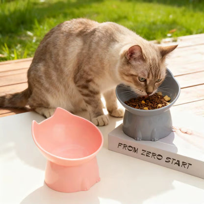 PurrTilt Ergonomic Elevated Pet Feeding Bowl