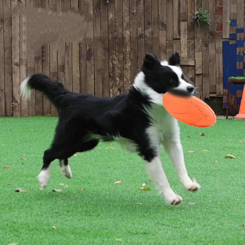 Silicone Flying Saucer Funny Dog Cat Toy Dog Game Flying Discs Resistant Chew Puppy Training Interactive Pet Supplies