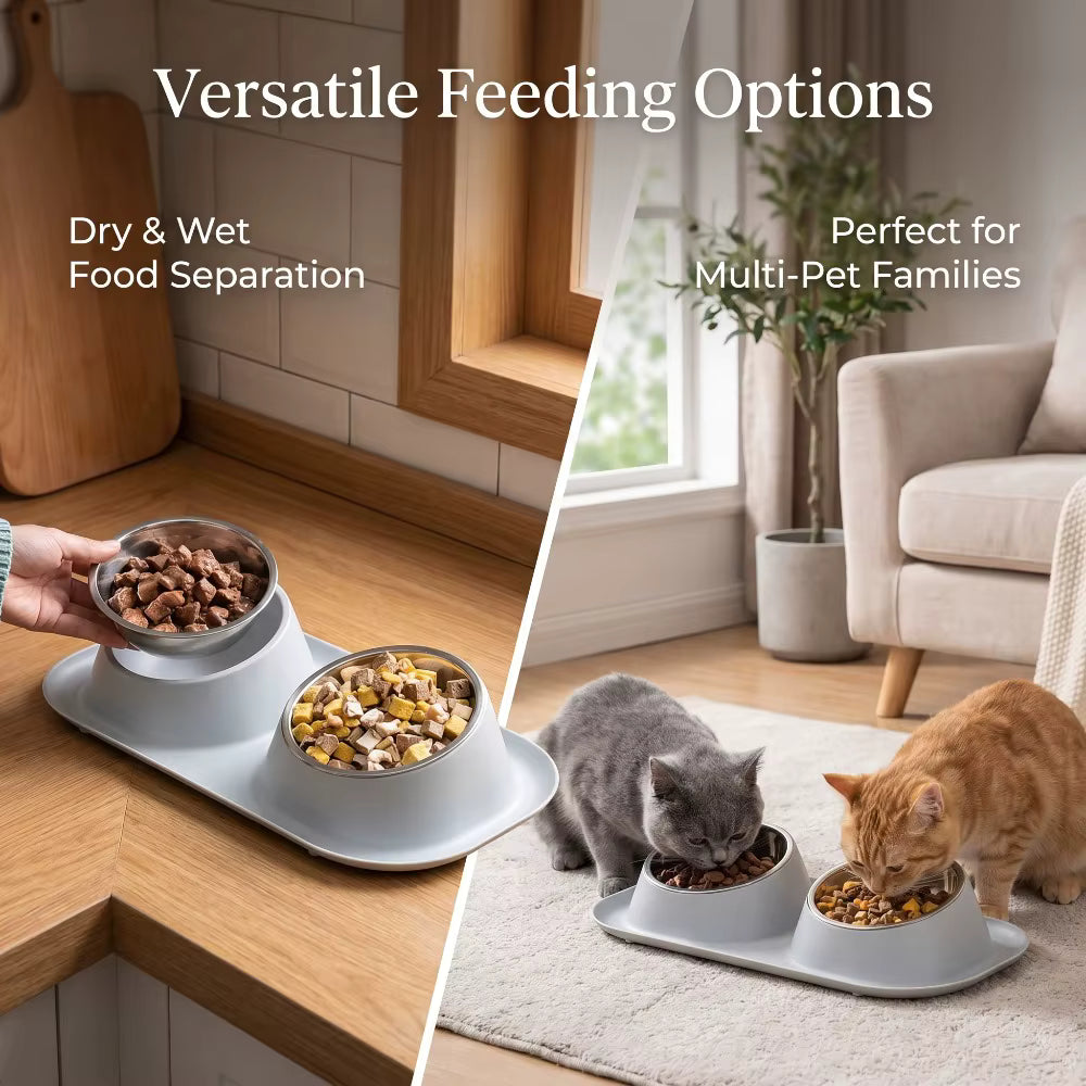 Double Stainless Steel Pet Bowl Set with Anti-Spill Tray
