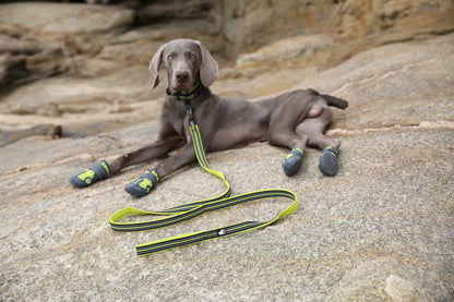 Truelove Soft Padded Mesh Dog Leash – Reflective & Durable