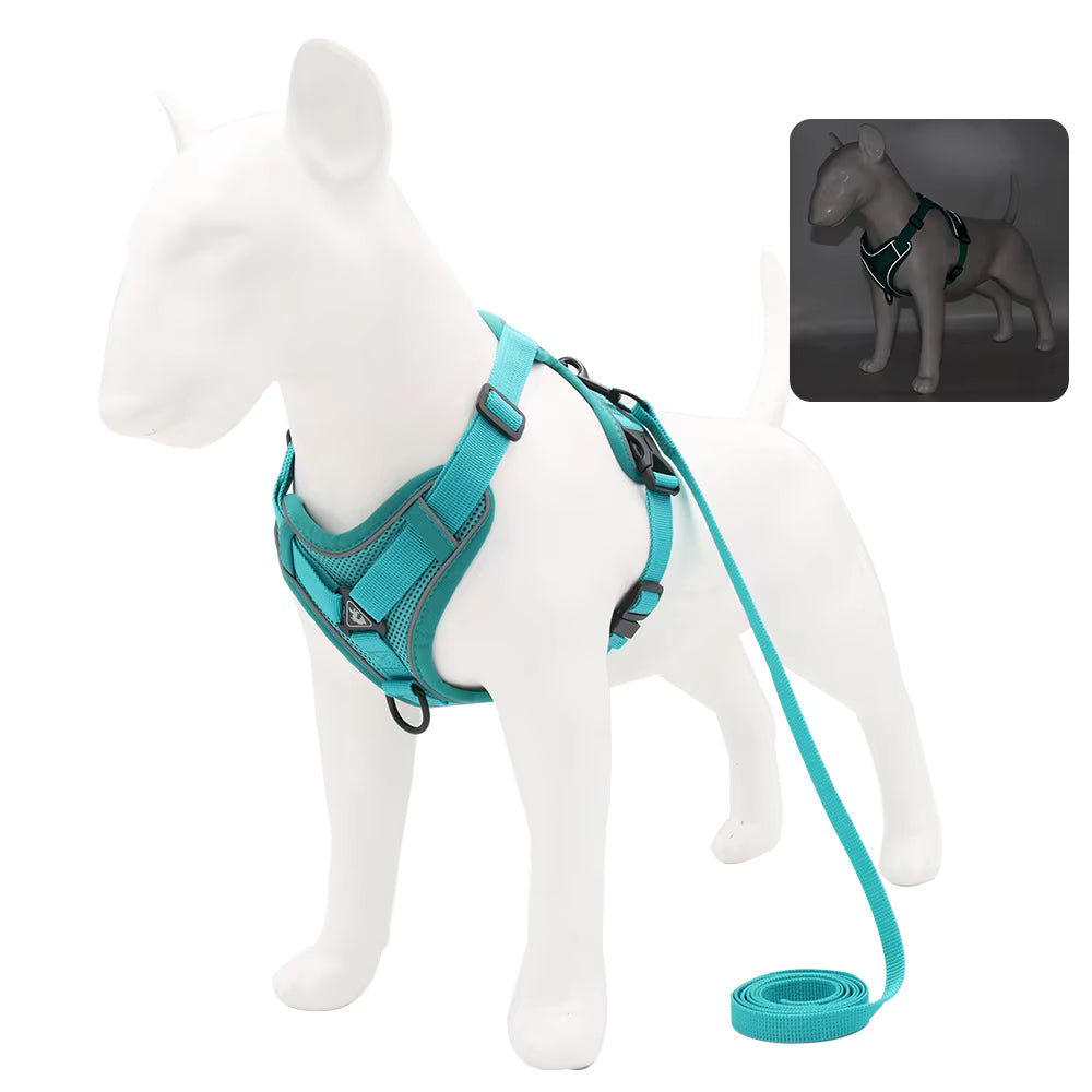 No-Pull Breathable Mesh Dog Harness & Leash Set