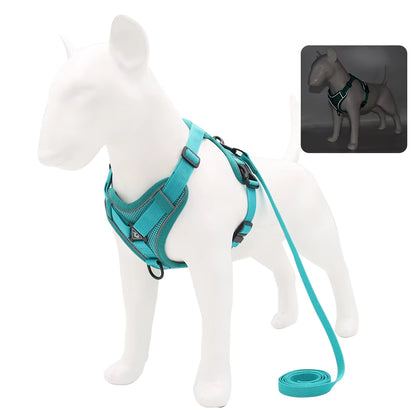 No-Pull Breathable Mesh Dog Harness & Leash Set