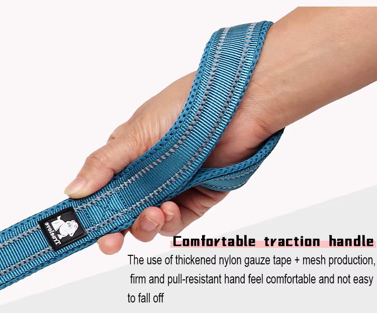 Truelove Soft Padded Mesh Dog Leash – Reflective & Durable