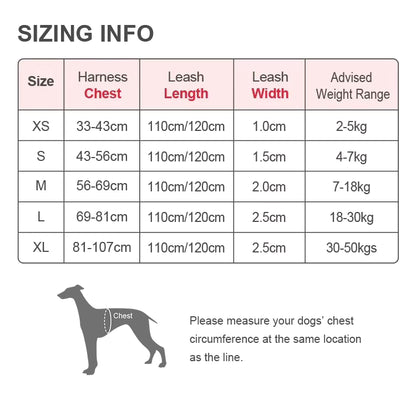 Truelove No-Pull Reflective Dog Harness – Breathable & Padded with Handle