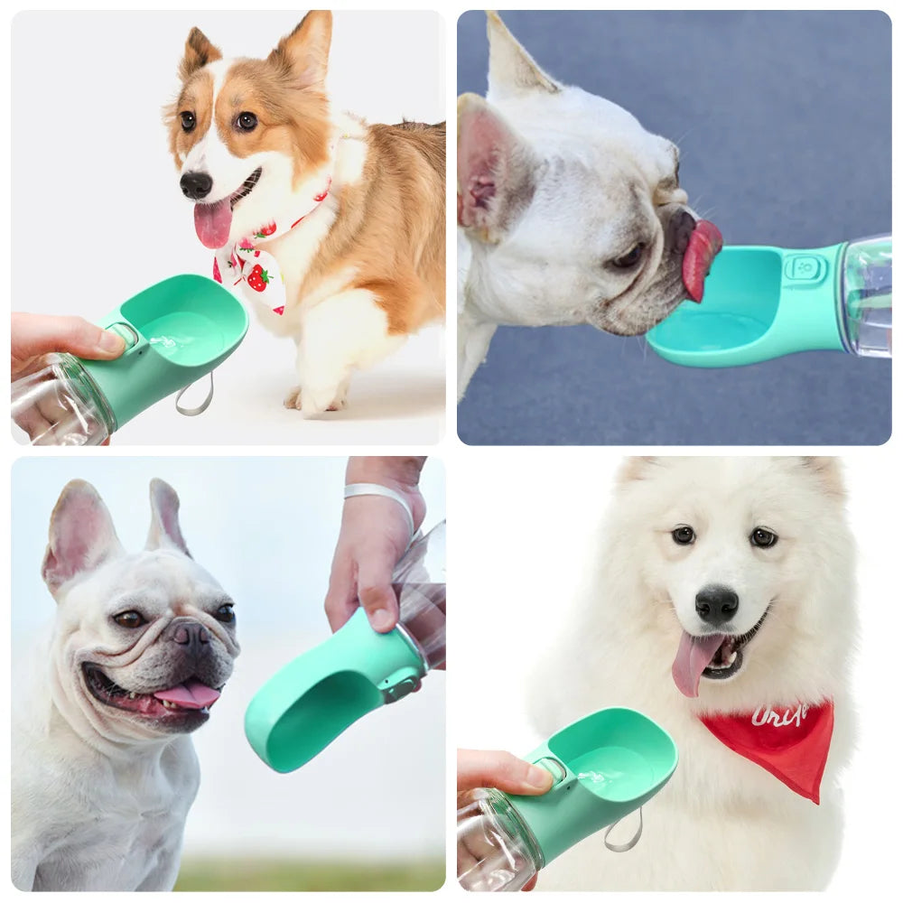 CloudFlow™ Portable Leak-Proof Dog Water Bottle
