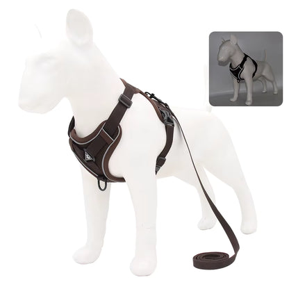 No-Pull Breathable Mesh Dog Harness & Leash Set