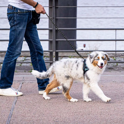 ThePetzStore™ Heavy-Duty Padded Dog Leash