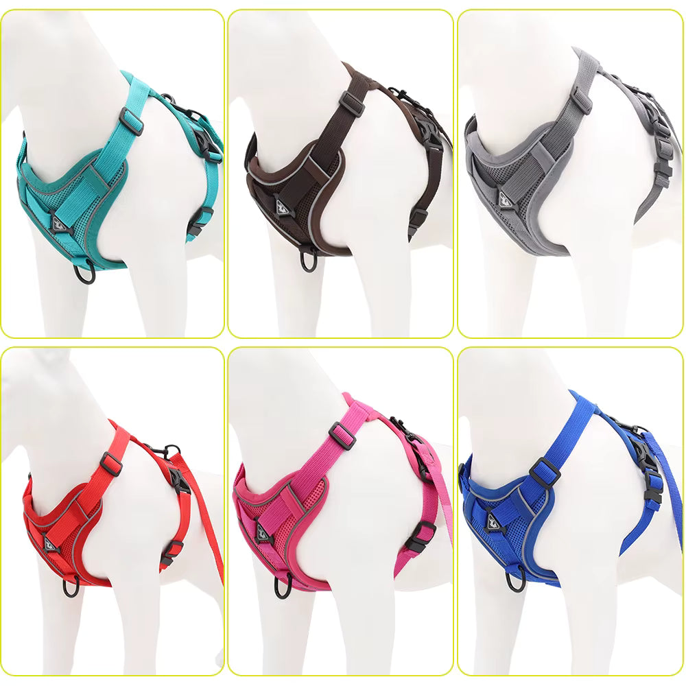 No-Pull Breathable Mesh Dog Harness & Leash Set