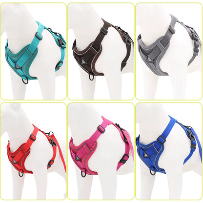 No-Pull Breathable Mesh Dog Harness & Leash Set