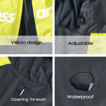 Alpine Waterproof Windbreaker Dog Jacket
