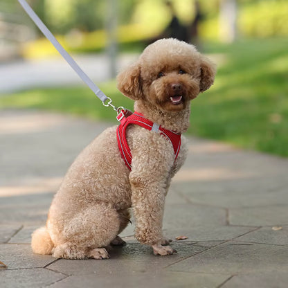 ThePetzStore™ Breathable Soft Mesh Harness & Leash Set
